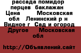 рассада помидор, перцев, баклажан › Цена ­ 40 - Московская обл., Ленинский р-н, Видное г. Сад и огород » Другое   . Московская обл.